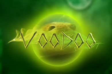 Voodoo игровой автомат Старда